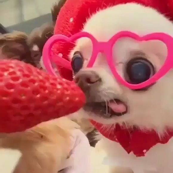 str4wberrym1lk